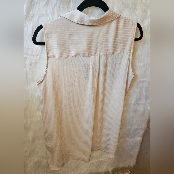 Modern Works Classic Sleeveless Pinstriped Button Down Shirt - Picture 4 of 6